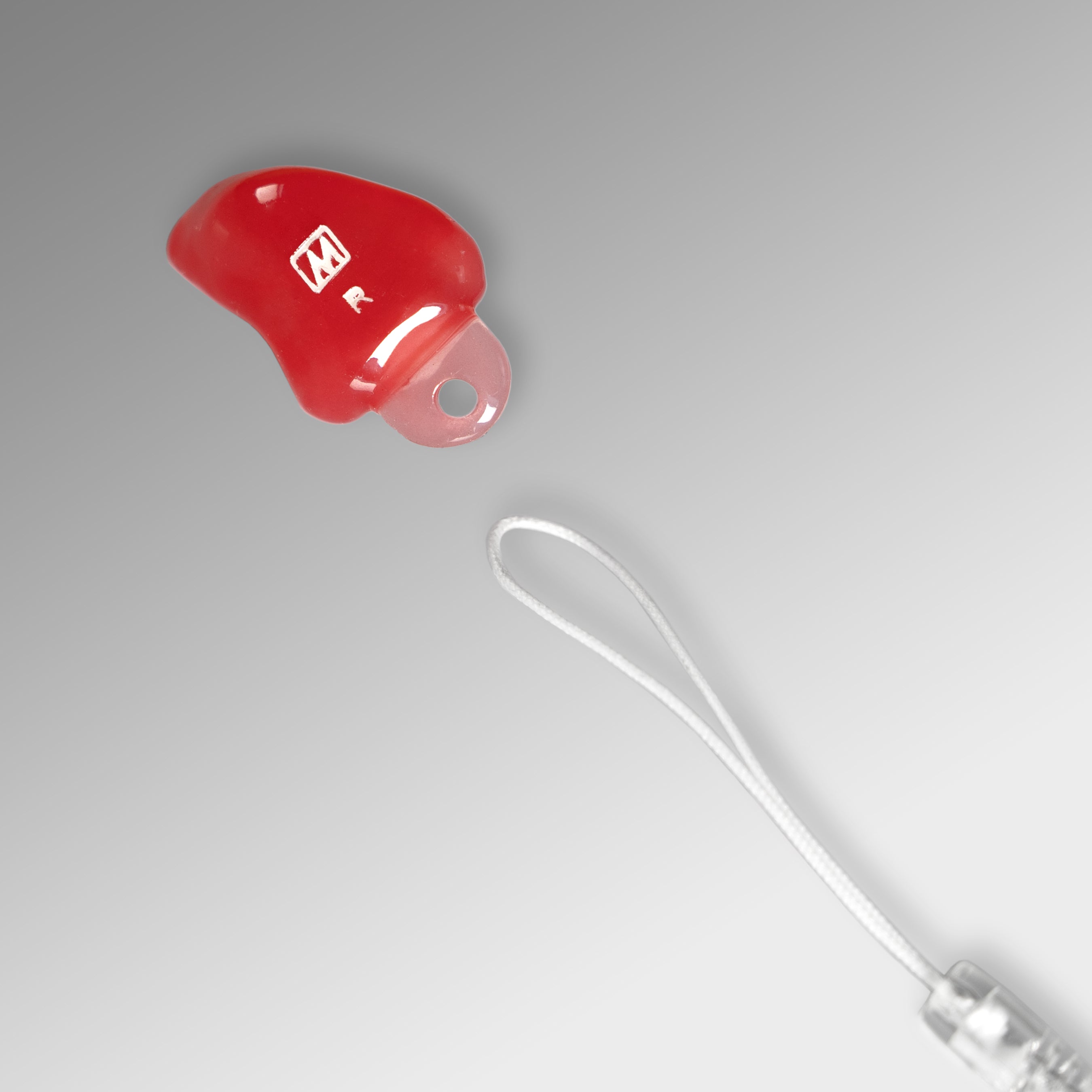 Lanyard for earplugs