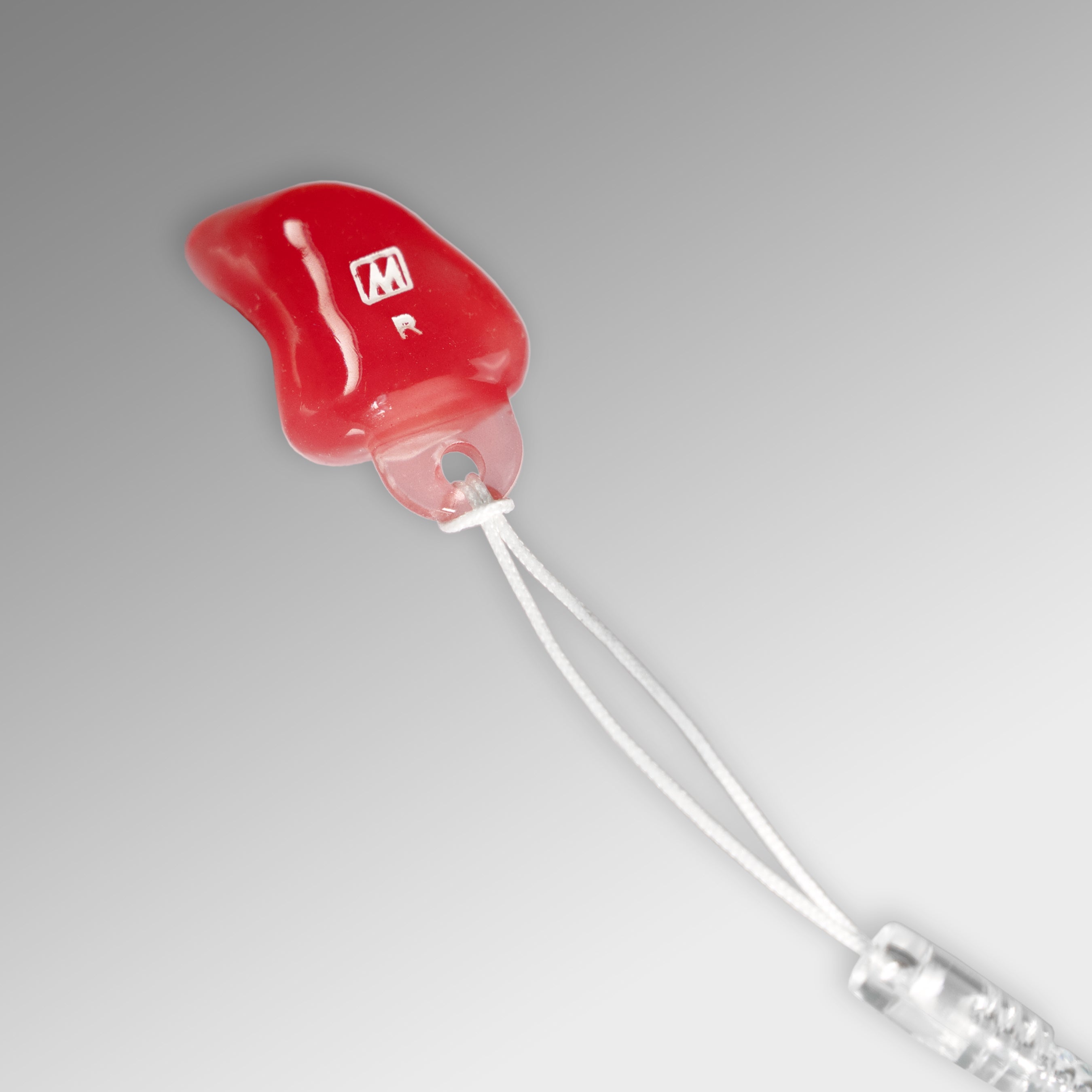 Lanyard for earplugs