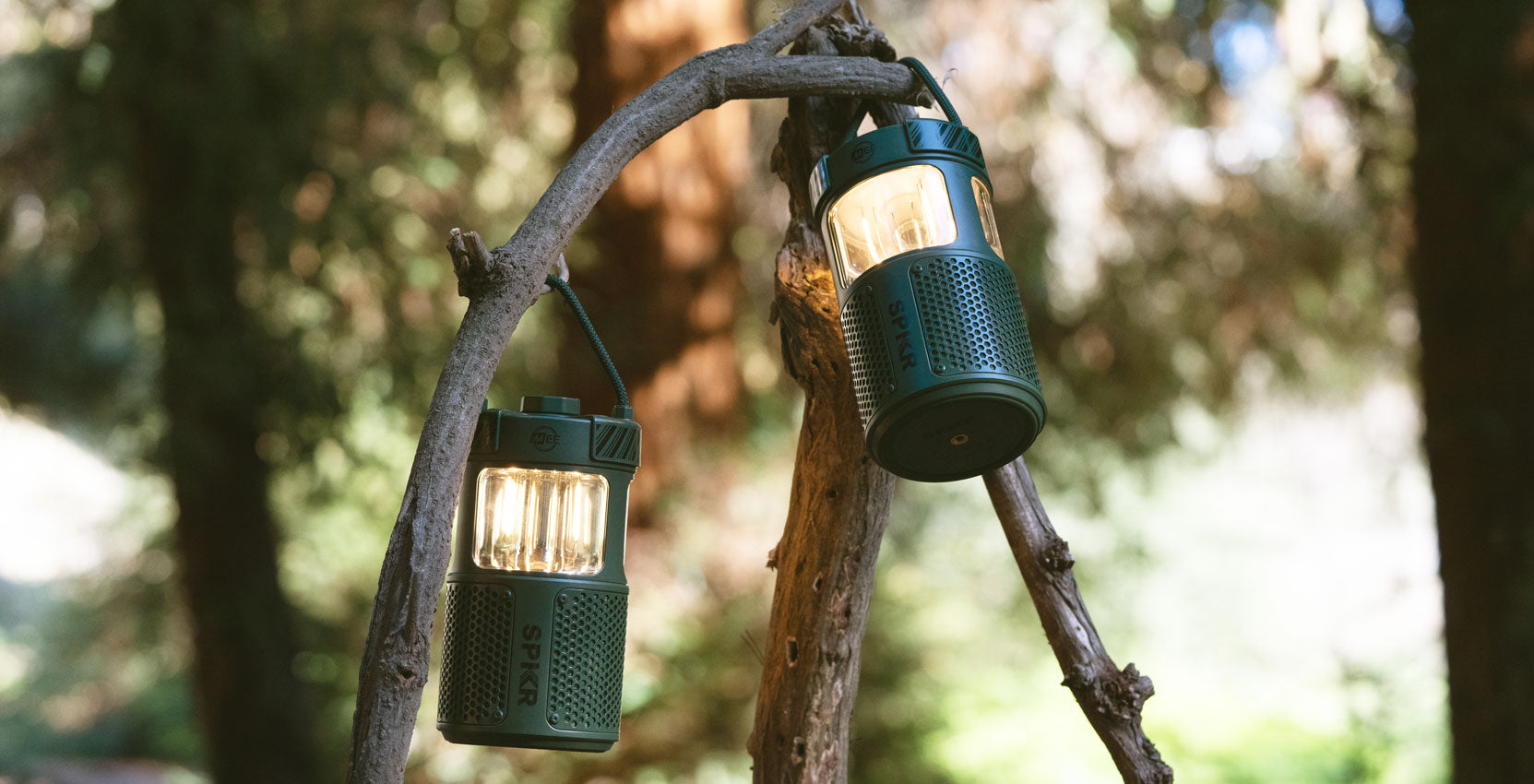 Two green camping lanterns hanging on a curved tree branch in a forest, illuminated from within and casting a warm light.